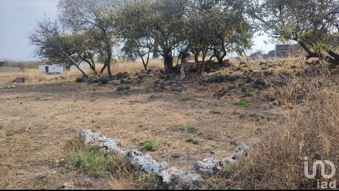 Terreno en Venta en Tlayacapan Centro, Tlayacapan, Morelos | NEX-265792 | iad México | Foto 4 de 11