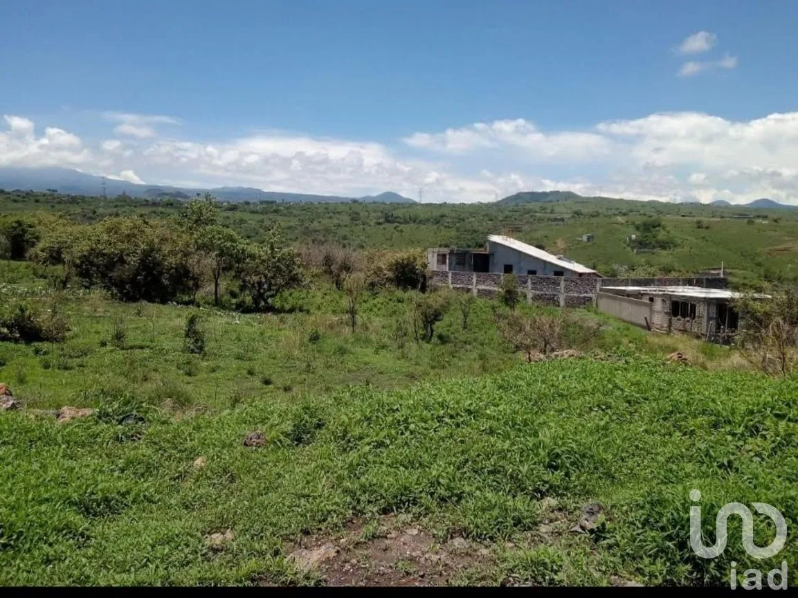 Terreno en Venta en Tlayacapan Centro, Tlayacapan, Morelos | NEX-265792 | iad México | Foto 7 de 11