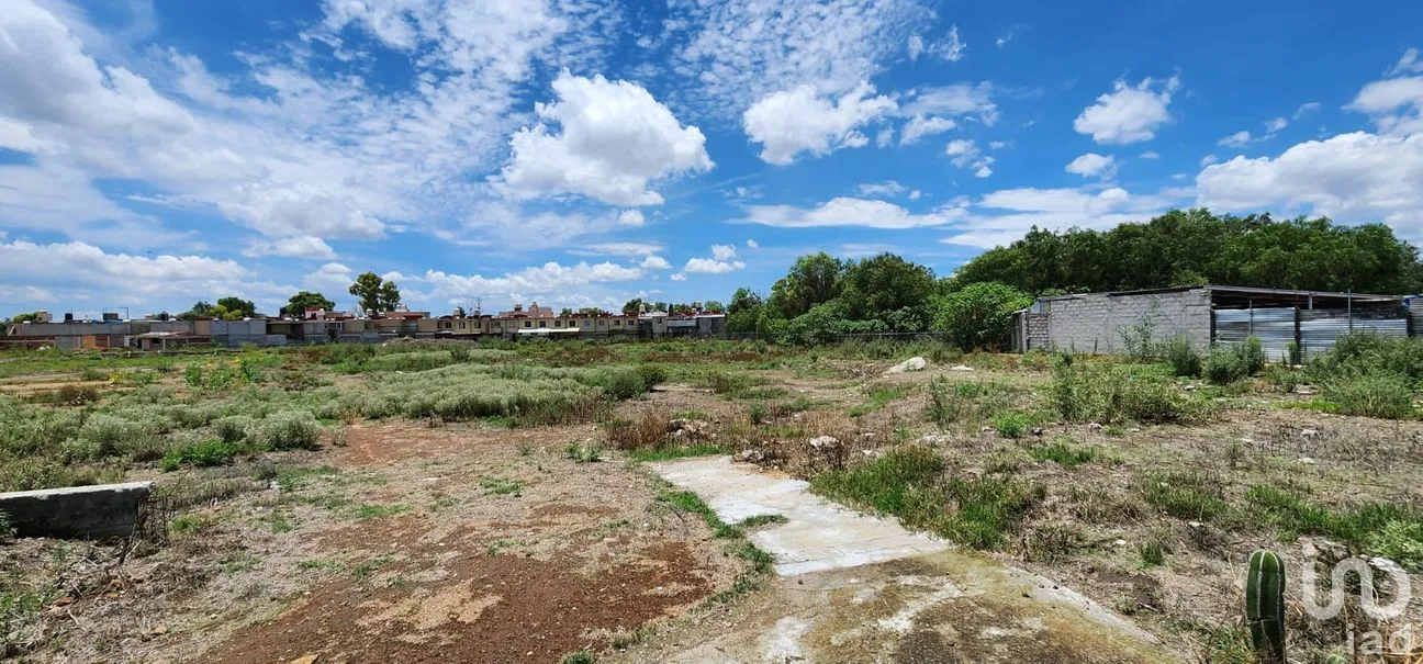 Terreno en Venta en Cuxtitla, Tizayuca, Hidalgo | NEX-265803 | iad México | Foto 8 de 13