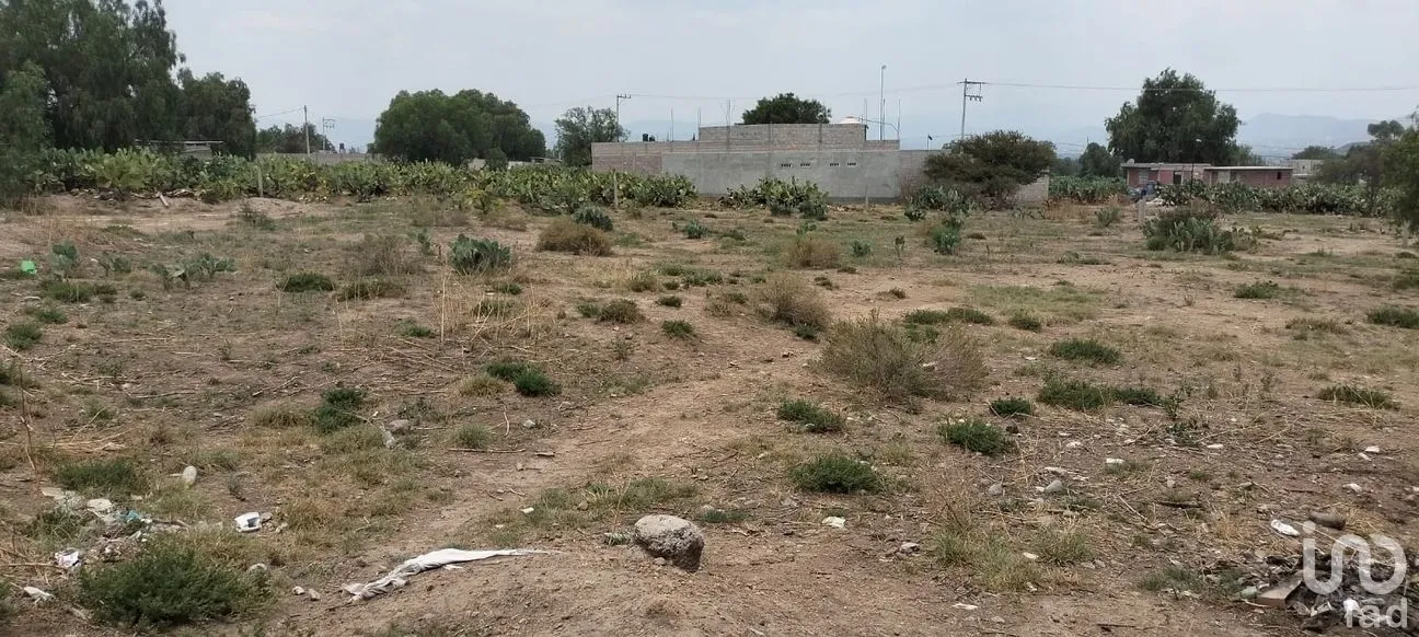 Terreno en Venta en San Antonio de las Palmas, San Martín de las Pirámides, México | NEX-286117 | iad México | Foto 3 de 6