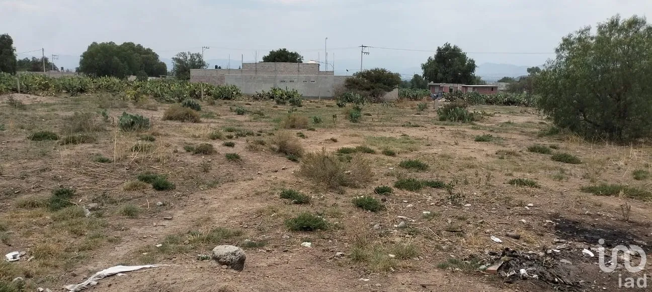 Terreno en Venta en San Antonio de las Palmas, San Martín de las Pirámides, México | NEX-286117 | iad México | Foto 4 de 6