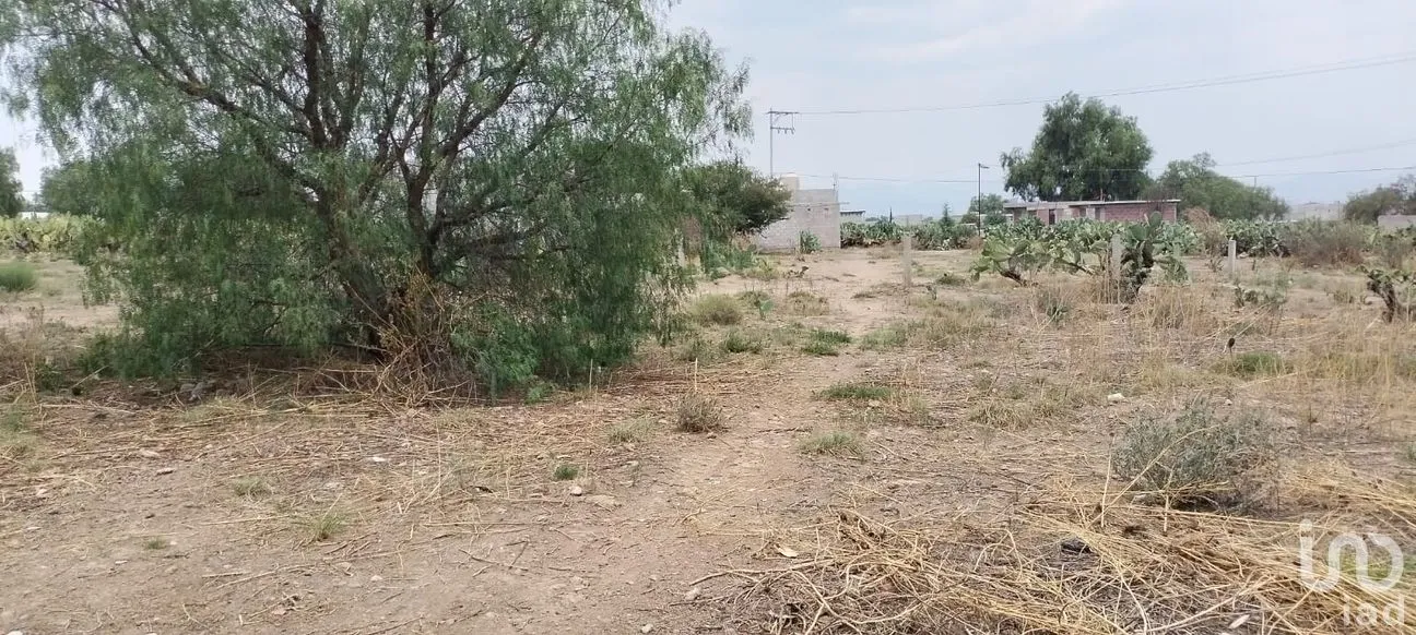 Terreno en Venta en San Antonio de las Palmas, San Martín de las Pirámides, México | NEX-286117 | iad México | Foto 1 de 6