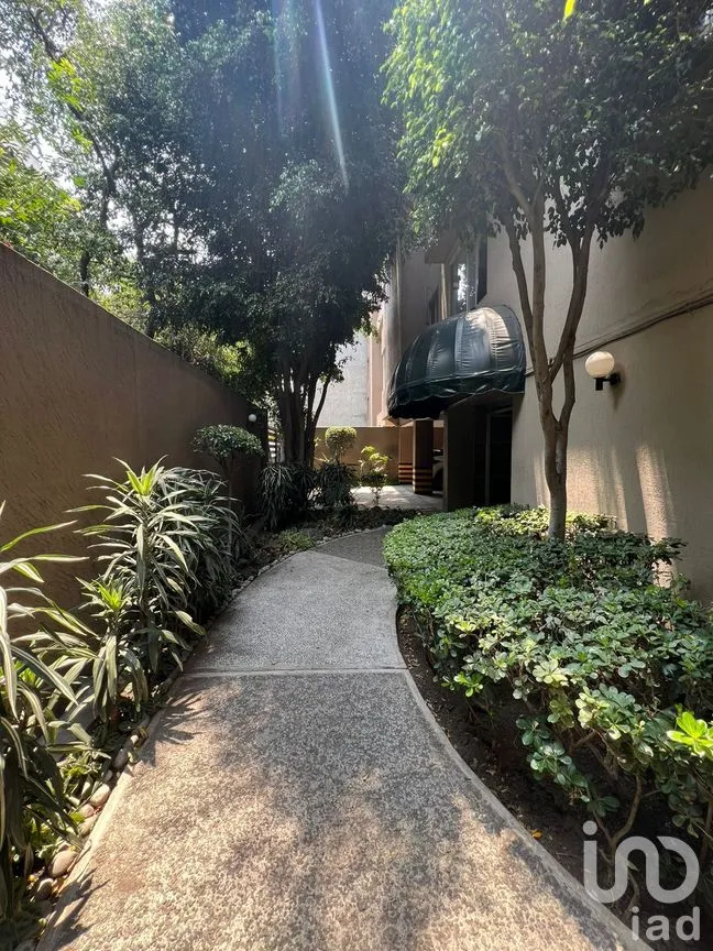 Departamento en Renta en Tlacoquemécatl, Benito Juárez, Ciudad de México | NEX-297782 | iad México | Foto 4 de 16
