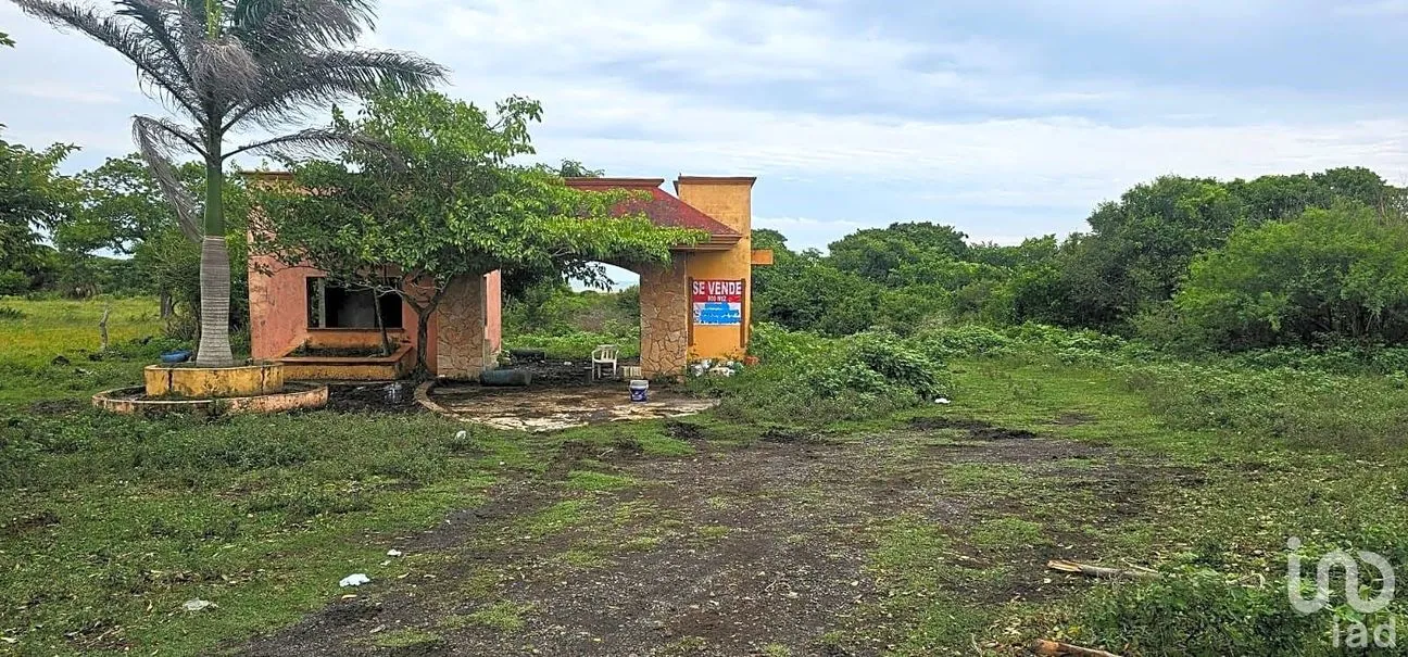 Terreno en Venta en Monte de Oro, Alto Lucero de Gutiérrez Barrios, Veracruz de Ignacio de la Llave | NEX-247223 | iad México | Foto 4 de 7