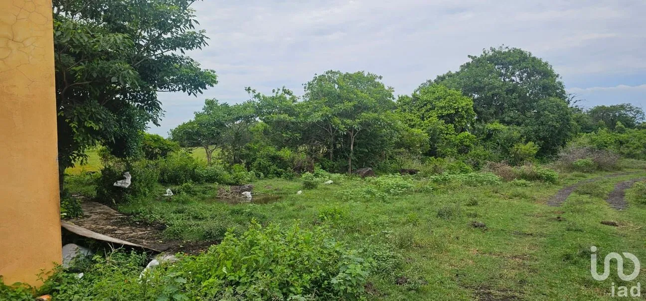 Terreno en Venta en Monte de Oro, Alto Lucero de Gutiérrez Barrios, Veracruz de Ignacio de la Llave | NEX-247223 | iad México | Foto 5 de 7