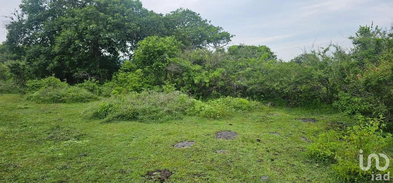 Terreno en Venta en Monte de Oro, Alto Lucero de Gutiérrez Barrios, Veracruz de Ignacio de la Llave | NEX-247223 | iad México | Foto 6 de 7