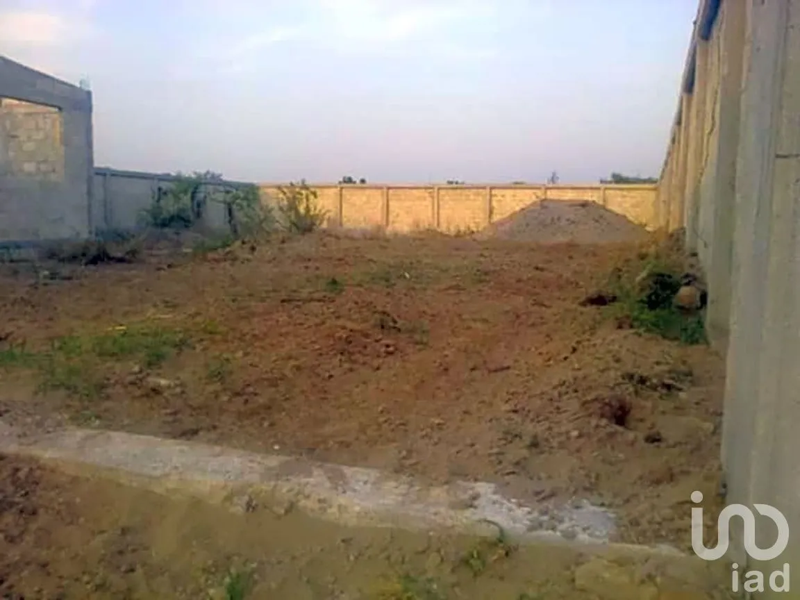 Terreno en Venta en Mata Loma, Manlio Fabio Altamirano, Veracruz de Ignacio de la Llave | NEX-263925 | iad México | Foto 6 de 9