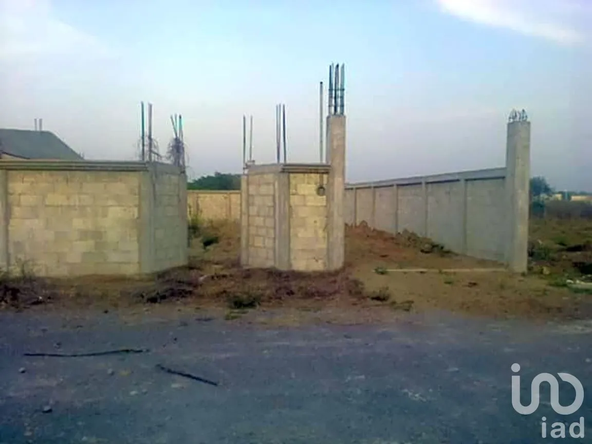 Terreno en Venta en Mata Loma, Manlio Fabio Altamirano, Veracruz de Ignacio de la Llave | NEX-263925 | iad México | Foto 7 de 9