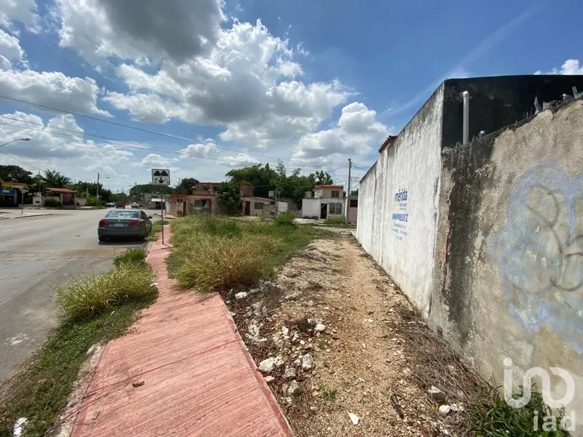 Terreno en Venta en Morelos Oriente, Mérida, Yucatán | NEX-34095 | iad México | Foto 6 de 9