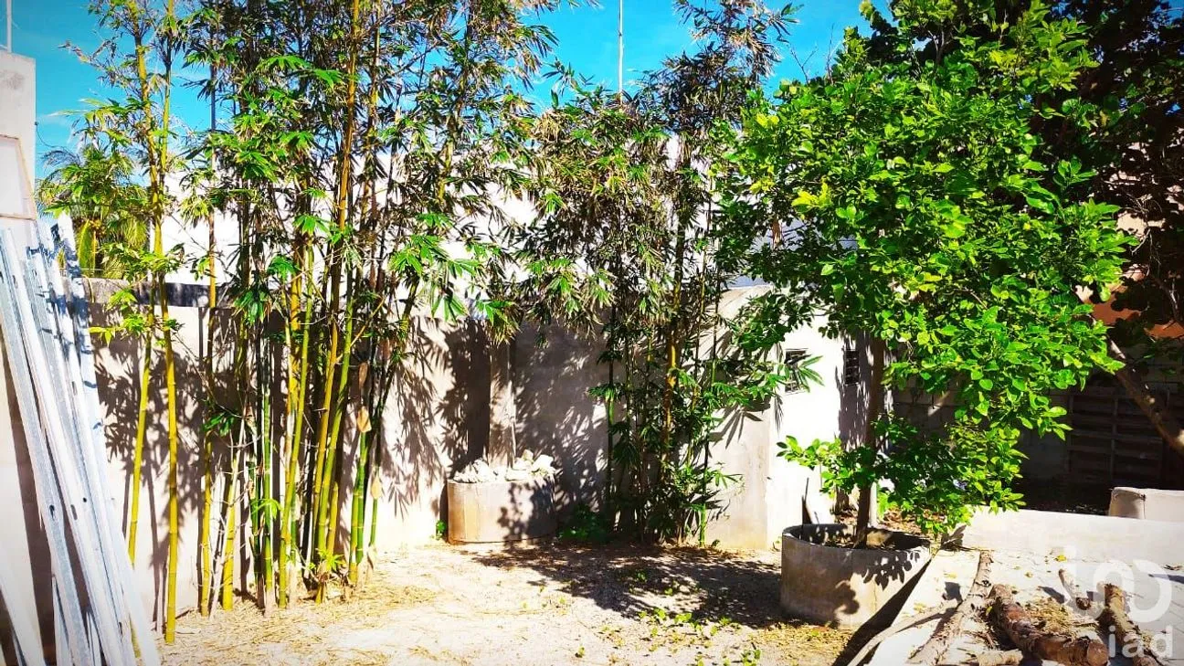 Casa en Renta en Ismael Garcia, Progreso, Yucatán | NEX-38480 | iad México | Foto 24 de 24