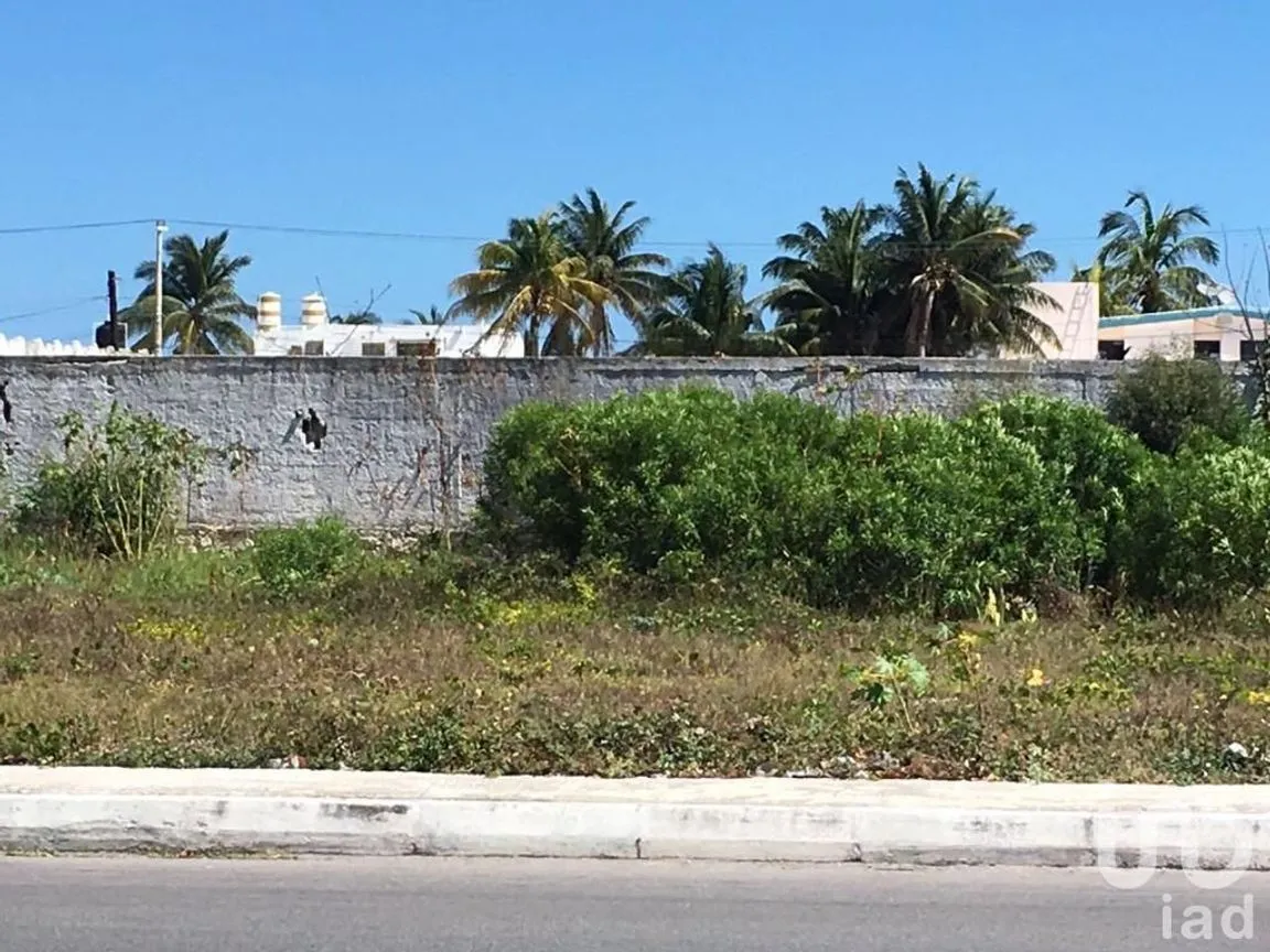 Terreno en Venta en Vicente Guerrero, Progreso, Yucatán | NEX-40925 | iad México | Foto 3 de 8