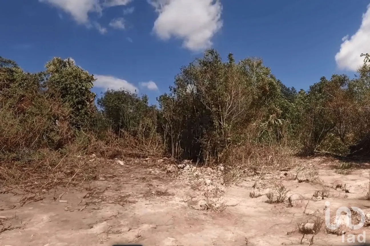 Terreno en Venta en Alfredo V Bonfil, Benito Juárez, Quintana Roo | NEX-252241 | iad México | Foto 2 de 3