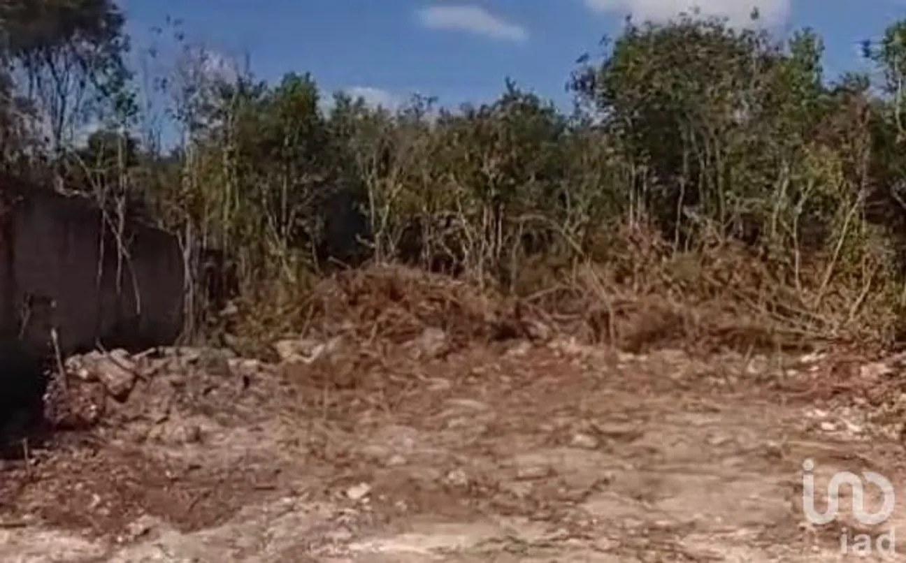 Terreno en Venta en Alfredo V Bonfil, Benito Juárez, Quintana Roo | NEX-252241 | iad México | Foto 3 de 3