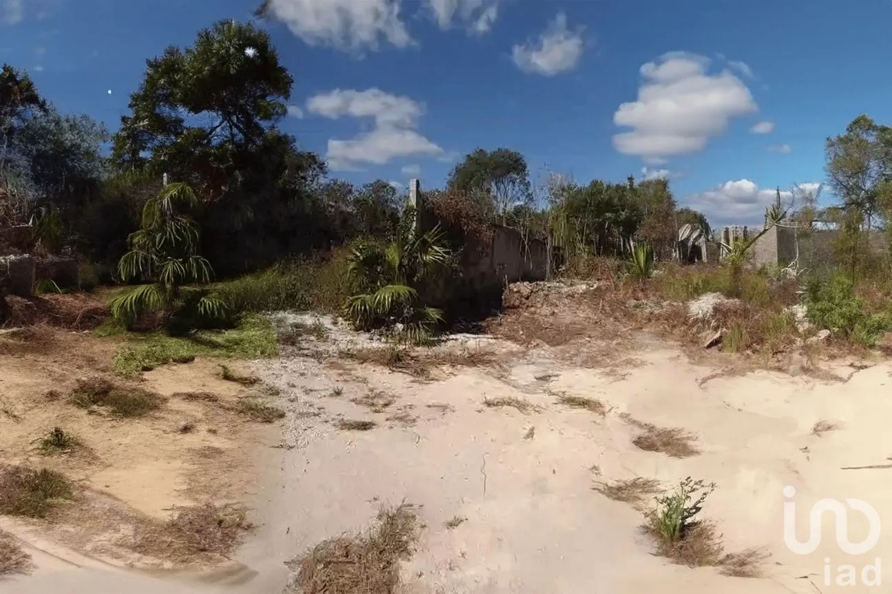 Terreno en Venta en Alfredo V Bonfil, Benito Juárez, Quintana Roo | NEX-252241 | iad México | Foto 1 de 3