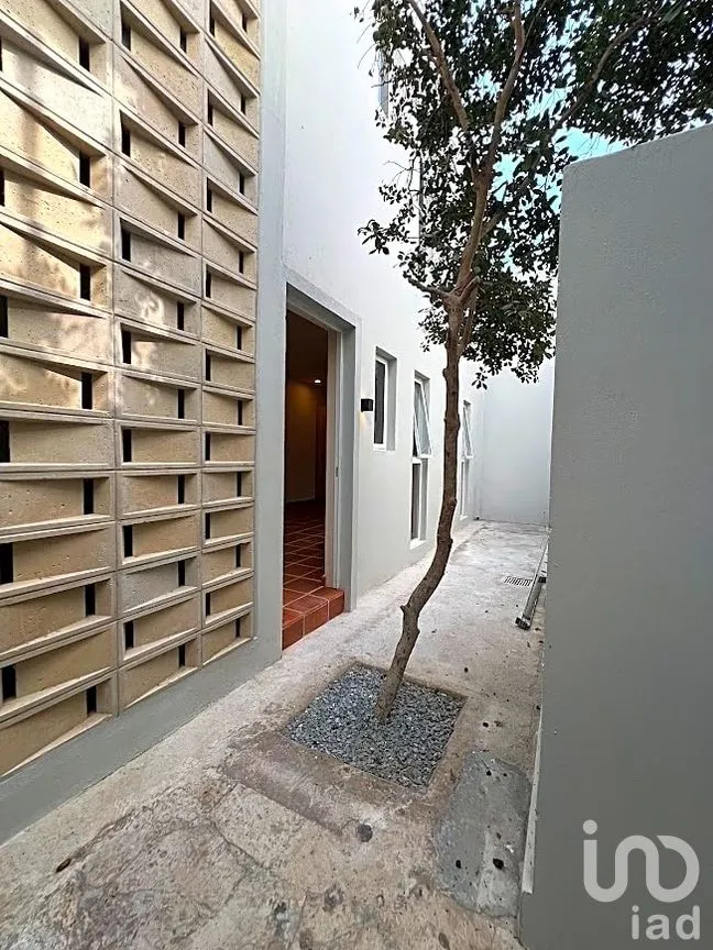 Departamento en Renta en Seattle, Zapopan, Jalisco | NEX-283501 | iad México | Foto 7 de 13