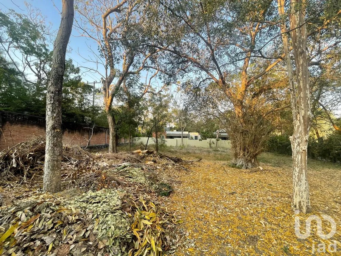Terreno en Venta en La Armonía, Colima, Colima | NEX-244287 | iad México | Foto 4 de 12