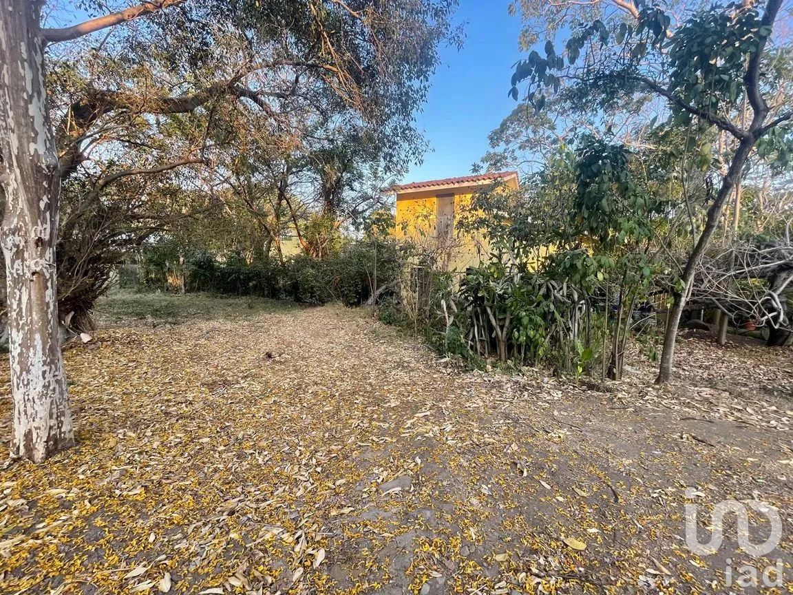 Terreno en Venta en La Armonía, Colima, Colima | NEX-244287 | iad México | Foto 5 de 12