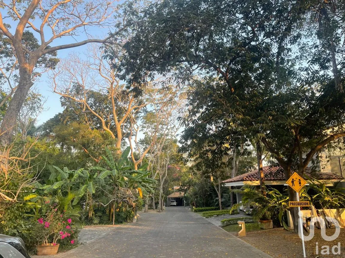 Terreno en Venta en La Armonía, Colima, Colima | NEX-244287 | iad México | Foto 7 de 12