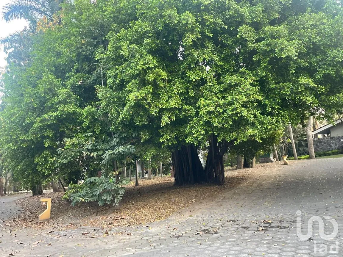 Terreno en Venta en La Armonía, Colima, Colima | NEX-244287 | iad México | Foto 8 de 12