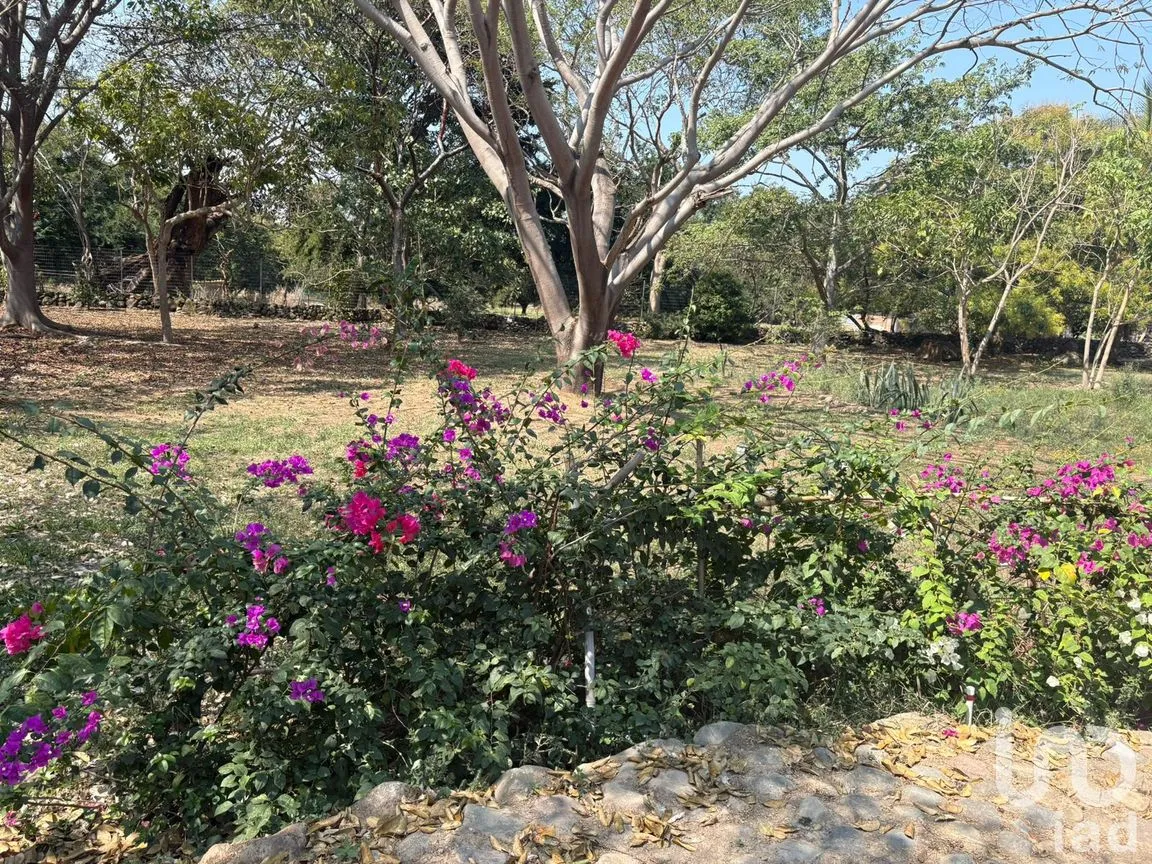 Terreno en Venta en Los Llanitos, Comala, Colima | NEX-286731 | iad México | Foto 2 de 9