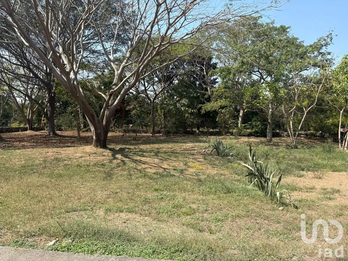 Terreno en Venta en Los Llanitos, Comala, Colima | NEX-286731 | iad México | Foto 3 de 9