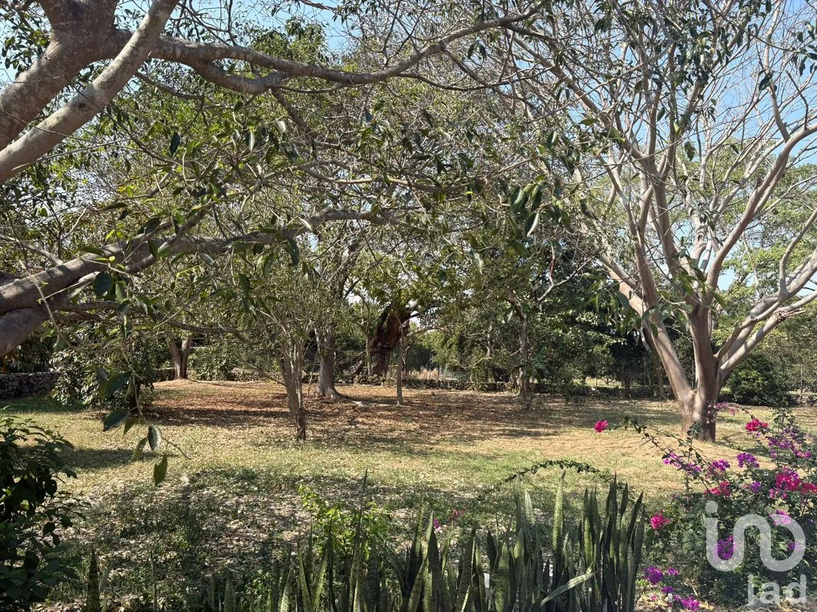 Terreno en Venta en Los Llanitos, Comala, Colima | NEX-286731 | iad México | Foto 4 de 9