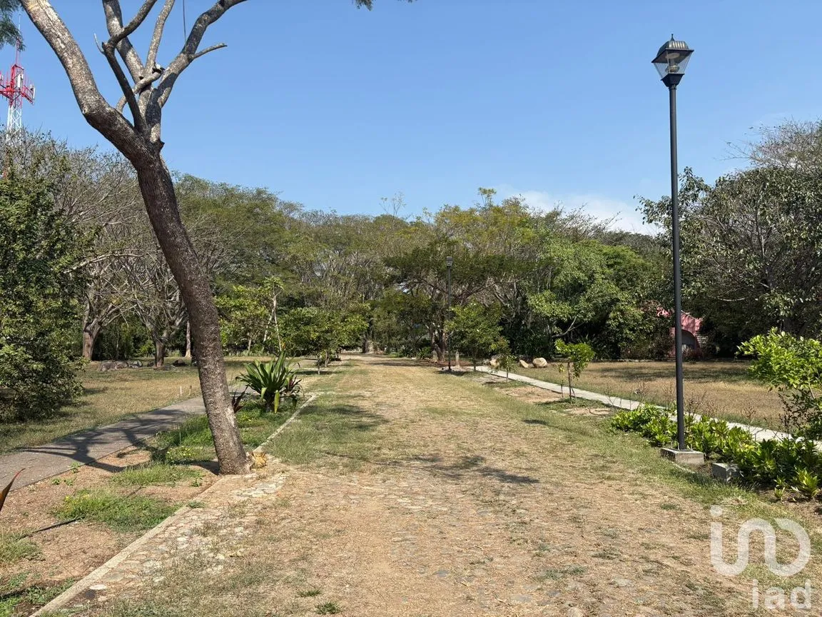 Terreno en Venta en Los Llanitos, Comala, Colima | NEX-286731 | iad México | Foto 5 de 9