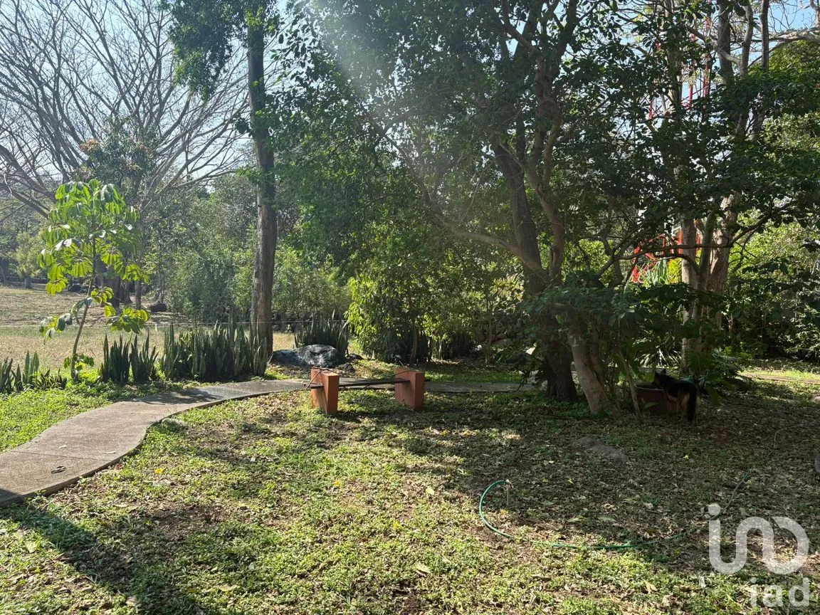 Terreno en Venta en Los Llanitos, Comala, Colima | NEX-286731 | iad México | Foto 8 de 9