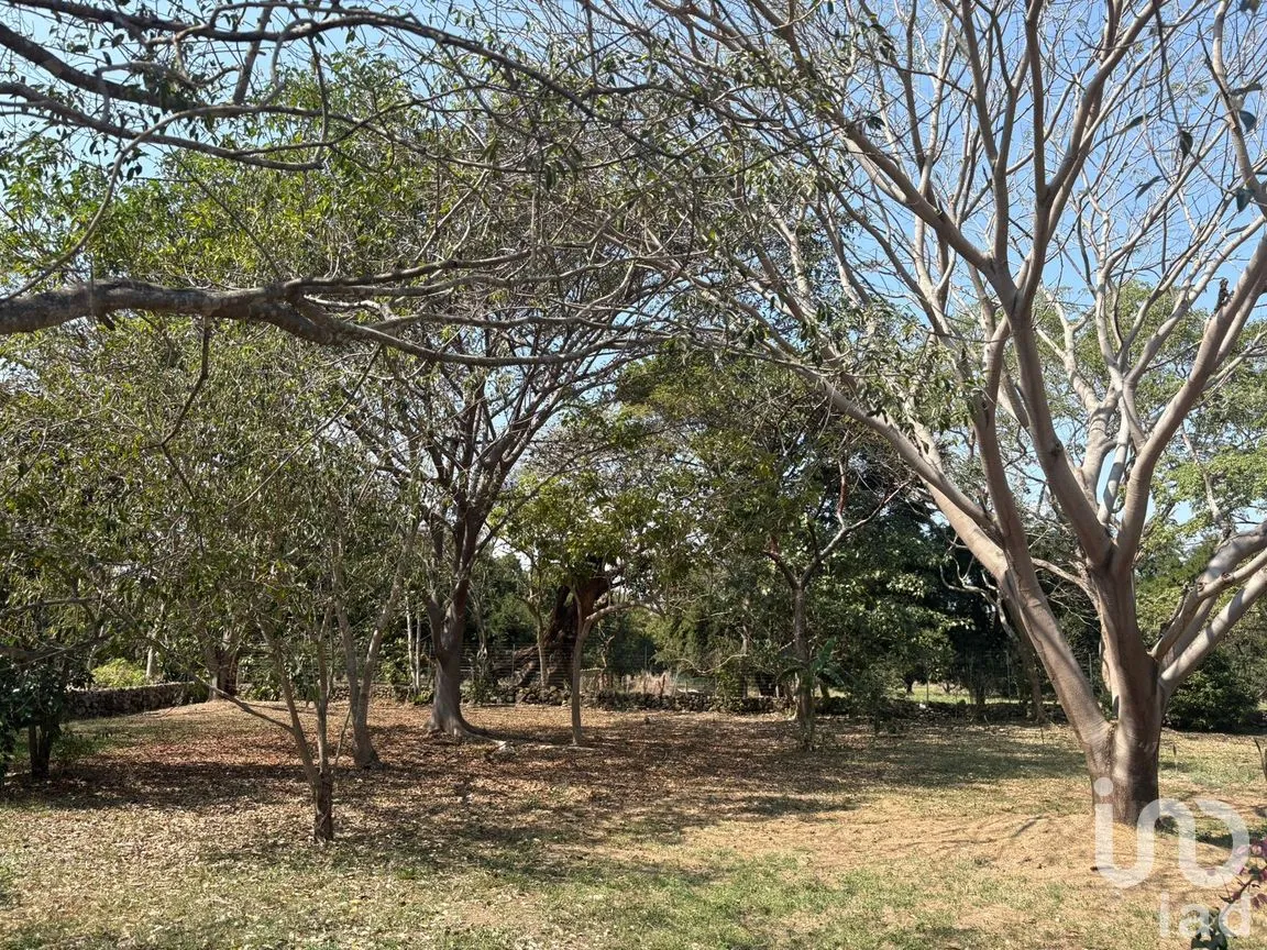 Terreno en Venta en Los Llanitos, Comala, Colima | NEX-286731 | iad México | Foto 1 de 9