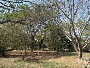NEX-286731 - Terreno en Venta en Los Llanitos, CP 28450, Colima.