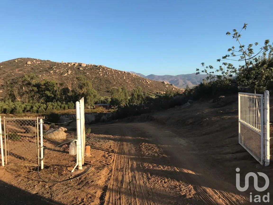 Terreno en Venta en Francisco Zarco (Valle de Guadalupe), Ensenada, Baja California | NEX-287063 | iad México | Foto 3 de 10