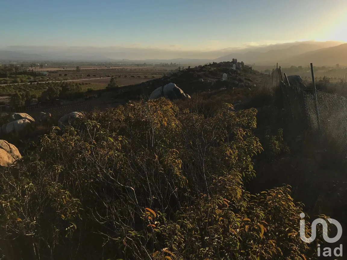 Terreno en Venta en Francisco Zarco (Valle de Guadalupe), Ensenada, Baja California | NEX-287063 | iad México | Foto 4 de 10