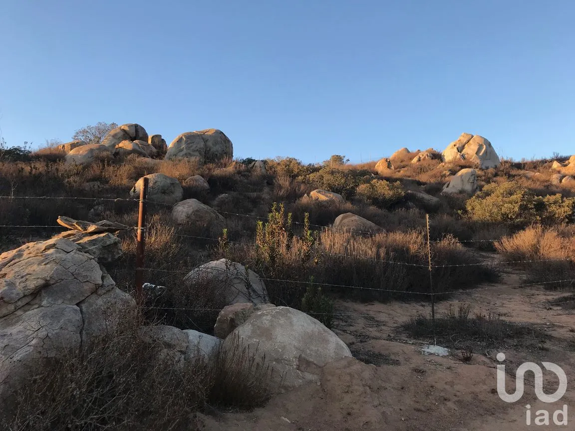Terreno en Venta en Francisco Zarco (Valle de Guadalupe), Ensenada, Baja California | NEX-287063 | iad México | Foto 6 de 10