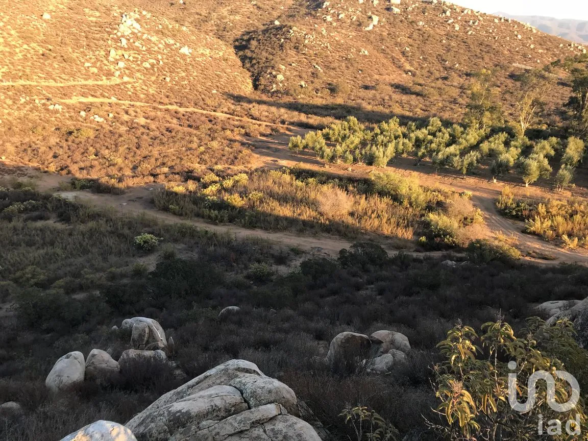 Terreno en Venta en Francisco Zarco (Valle de Guadalupe), Ensenada, Baja California | NEX-287063 | iad México | Foto 7 de 10