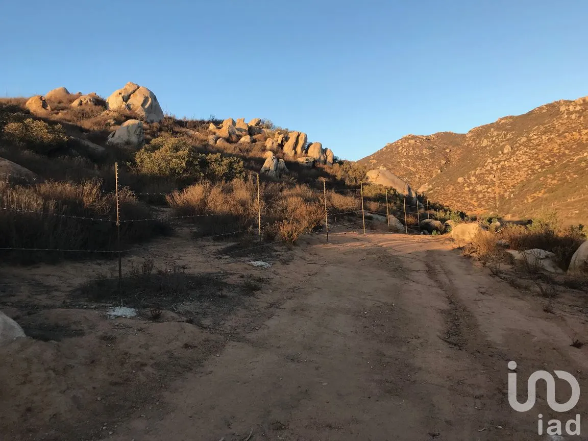 Terreno en Venta en Francisco Zarco (Valle de Guadalupe), Ensenada, Baja California | NEX-287063 | iad México | Foto 8 de 10