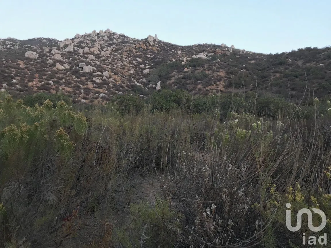 Terreno en Venta en Francisco Zarco (Valle de Guadalupe), Ensenada, Baja California | NEX-287063 | iad México | Foto 9 de 10