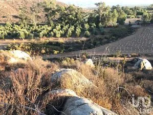 NEX-287063 - Terreno en Venta en Francisco Zarco (Valle de Guadalupe), CP 22750, Baja California.