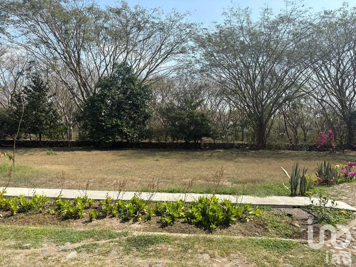 Terreno en Venta en Los Llanitos, Comala, Colima | NEX-287804 | iad México | Foto 2 de 11