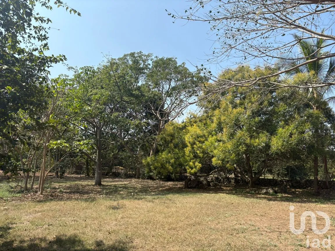 Terreno en Venta en Los Llanitos, Comala, Colima | NEX-287804 | iad México | Foto 3 de 11