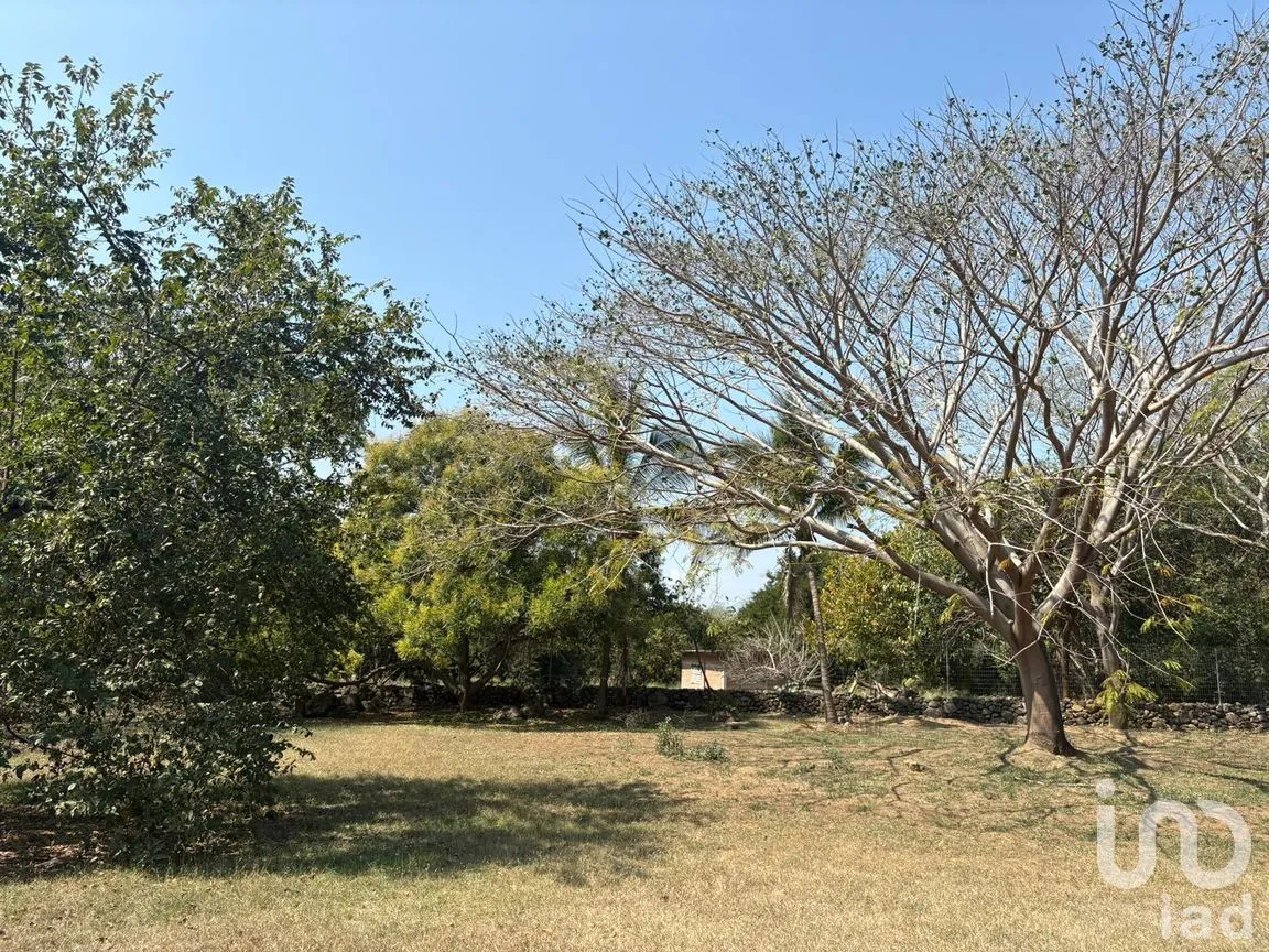 Terreno en Venta en Los Llanitos, Comala, Colima | NEX-287804 | iad México | Foto 4 de 11