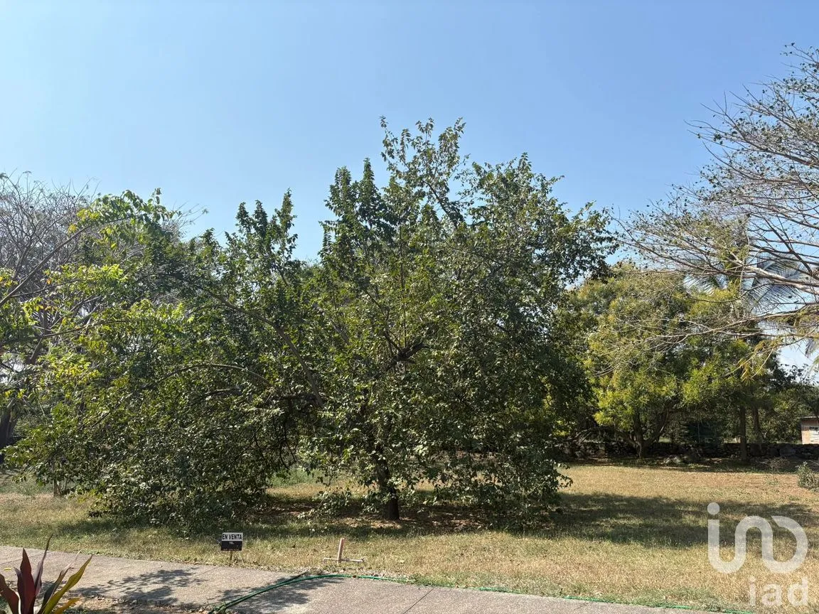 Terreno en Venta en Los Llanitos, Comala, Colima | NEX-287804 | iad México | Foto 5 de 11