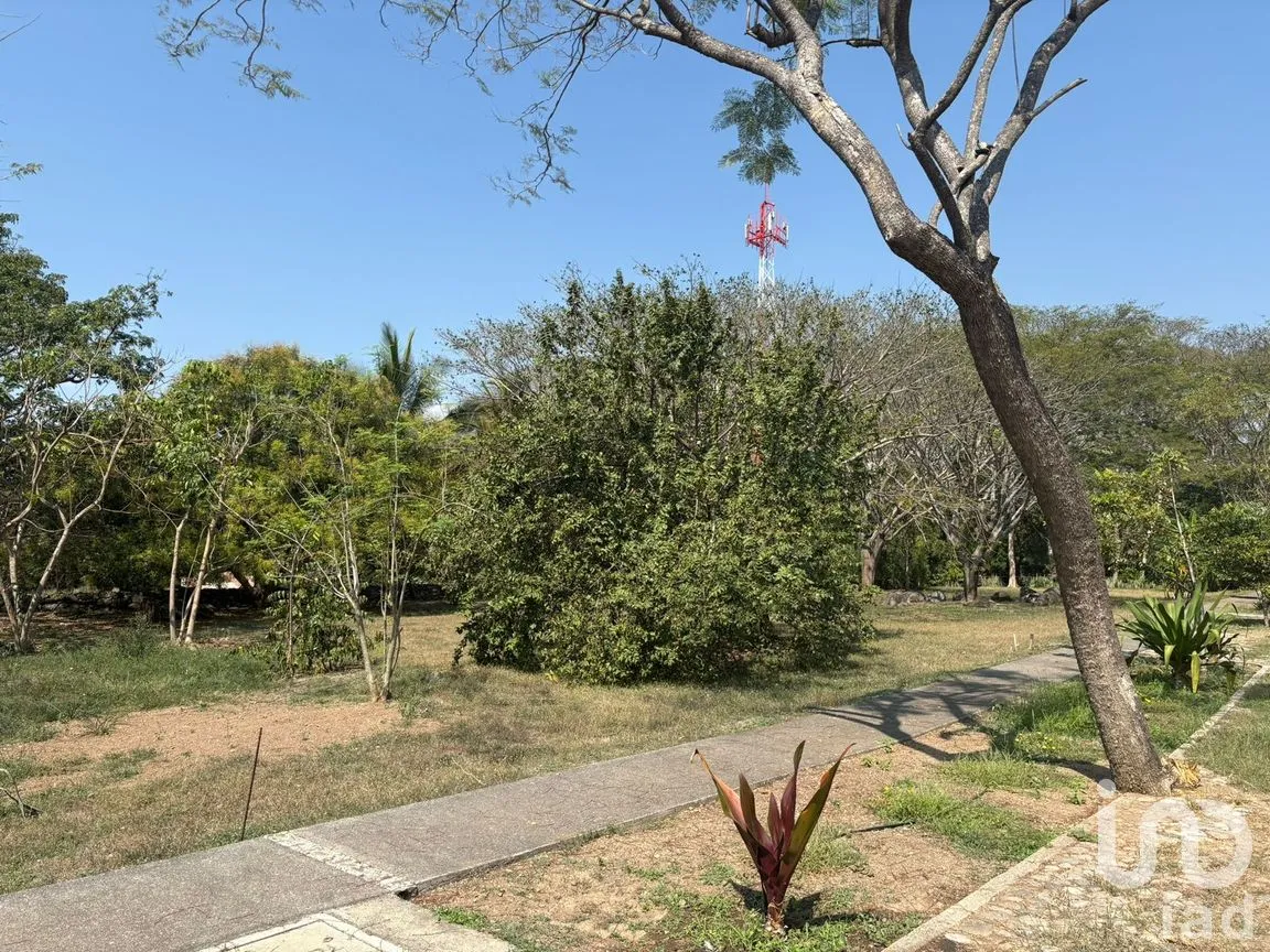 Terreno en Venta en Los Llanitos, Comala, Colima | NEX-287804 | iad México | Foto 6 de 11