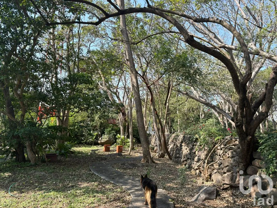 Terreno en Venta en Los Llanitos, Comala, Colima | NEX-287804 | iad México | Foto 9 de 11