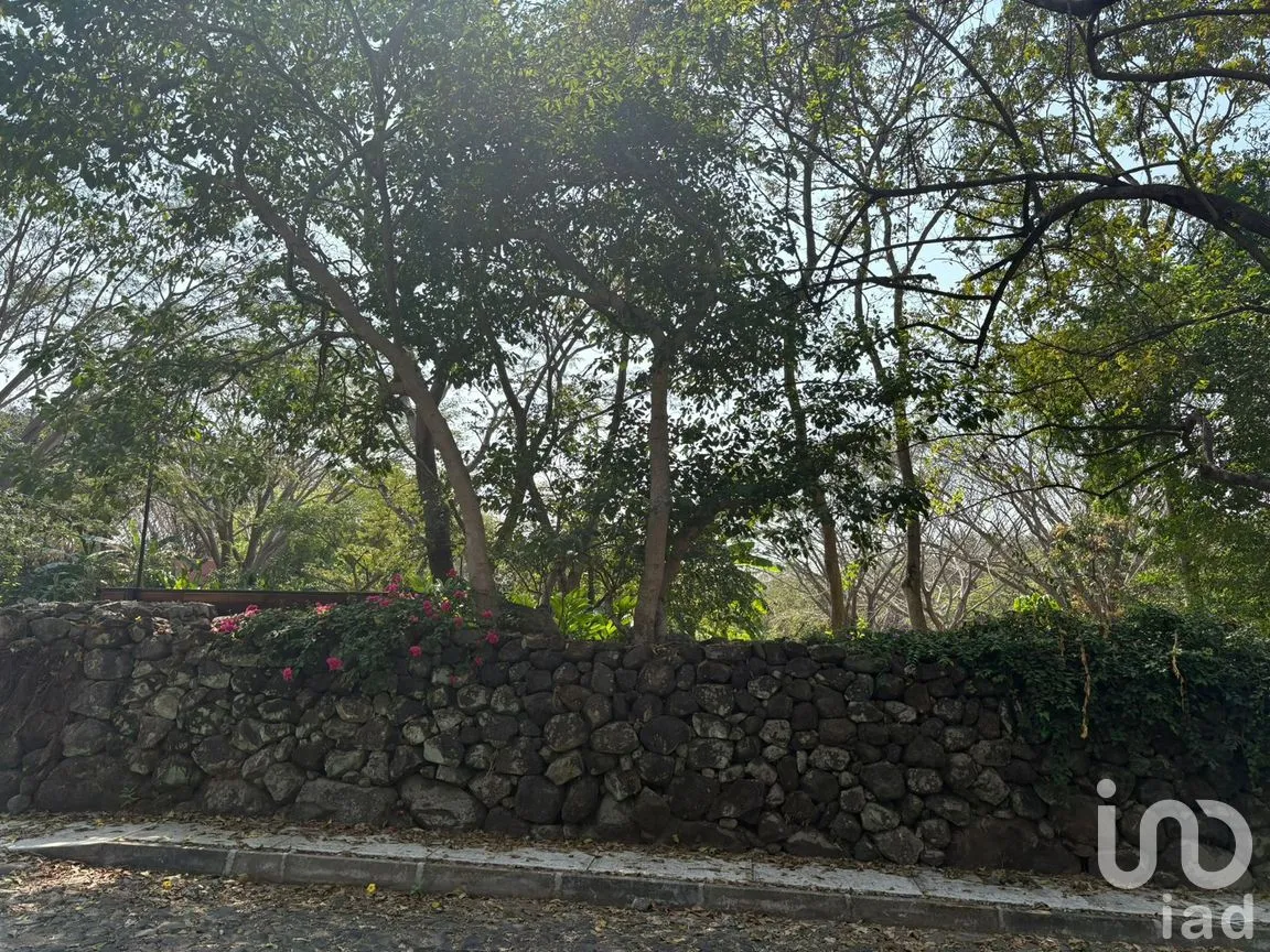 Terreno en Venta en Los Llanitos, Comala, Colima | NEX-287804 | iad México | Foto 10 de 11