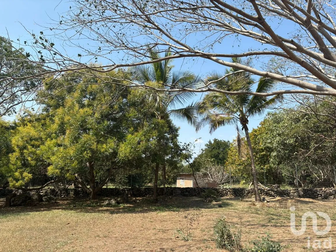 Terreno en Venta en Los Llanitos, Comala, Colima | NEX-287804 | iad México | Foto 1 de 11