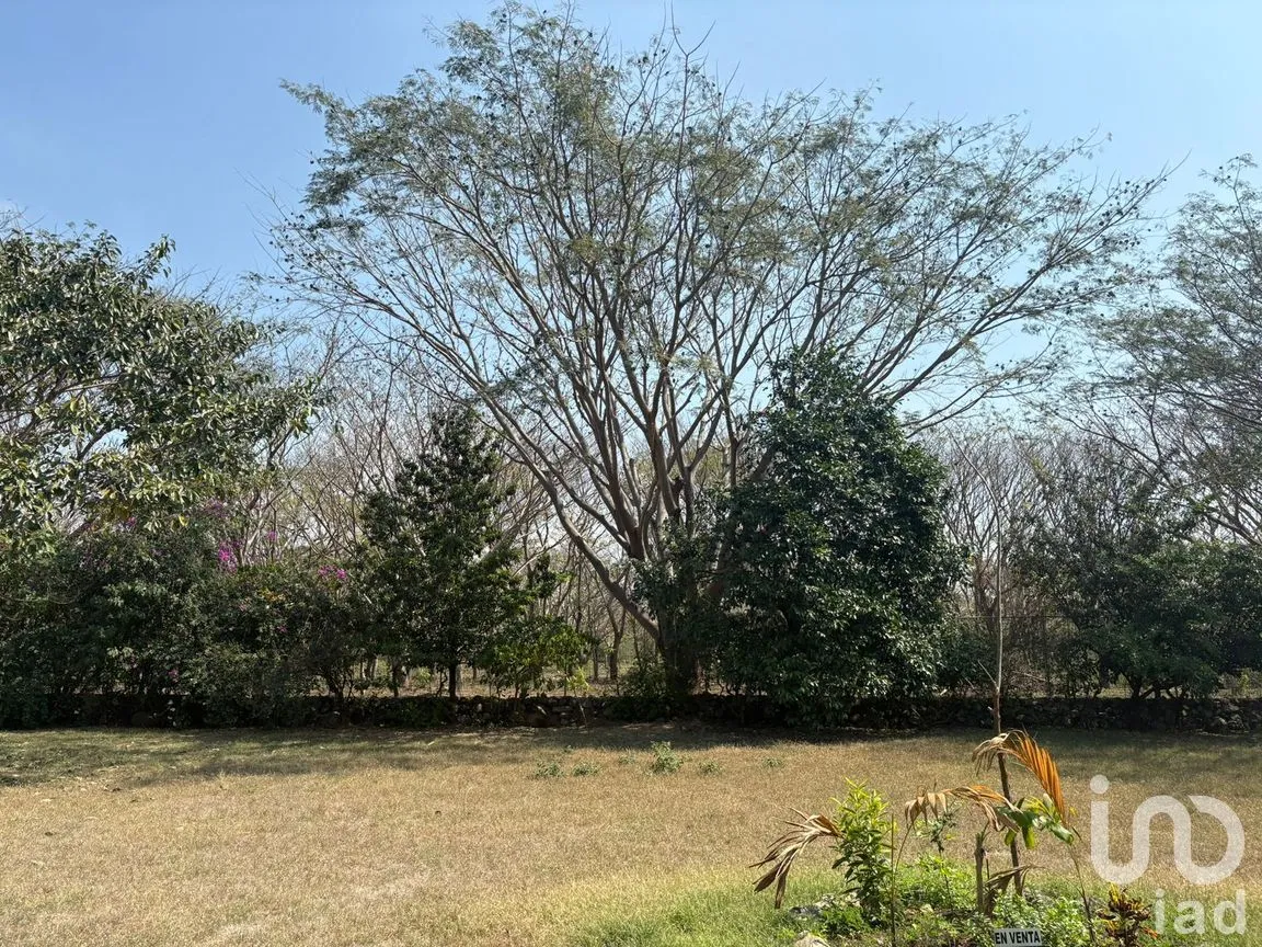 Terreno en Venta en Comala, Comala, Colima | NEX-287806 | iad México | Foto 2 de 11