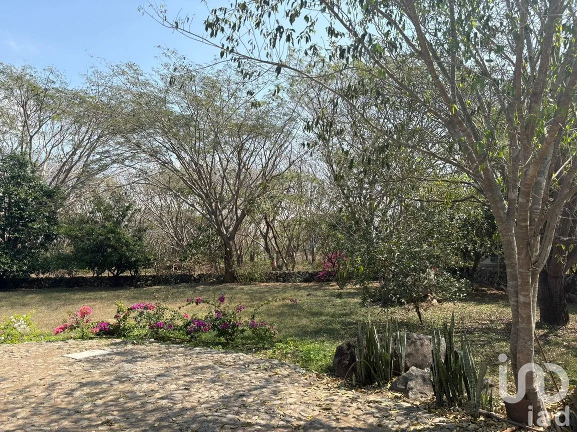Terreno en Venta en Comala, Comala, Colima | NEX-287806 | iad México | Foto 3 de 11