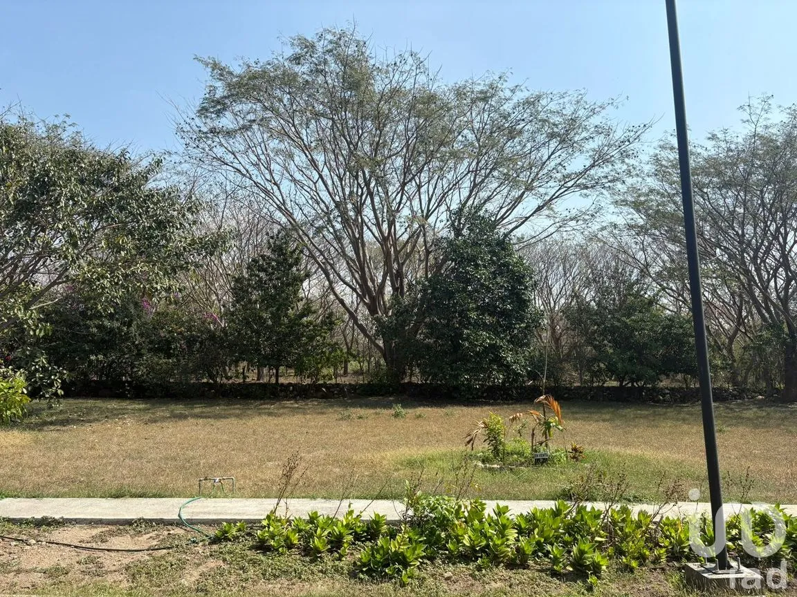 Terreno en Venta en Comala, Comala, Colima | NEX-287806 | iad México | Foto 4 de 11