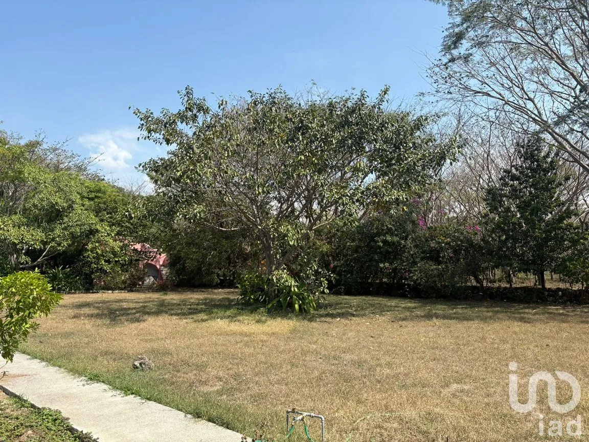 Terreno en Venta en Comala, Comala, Colima | NEX-287806 | iad México | Foto 5 de 11
