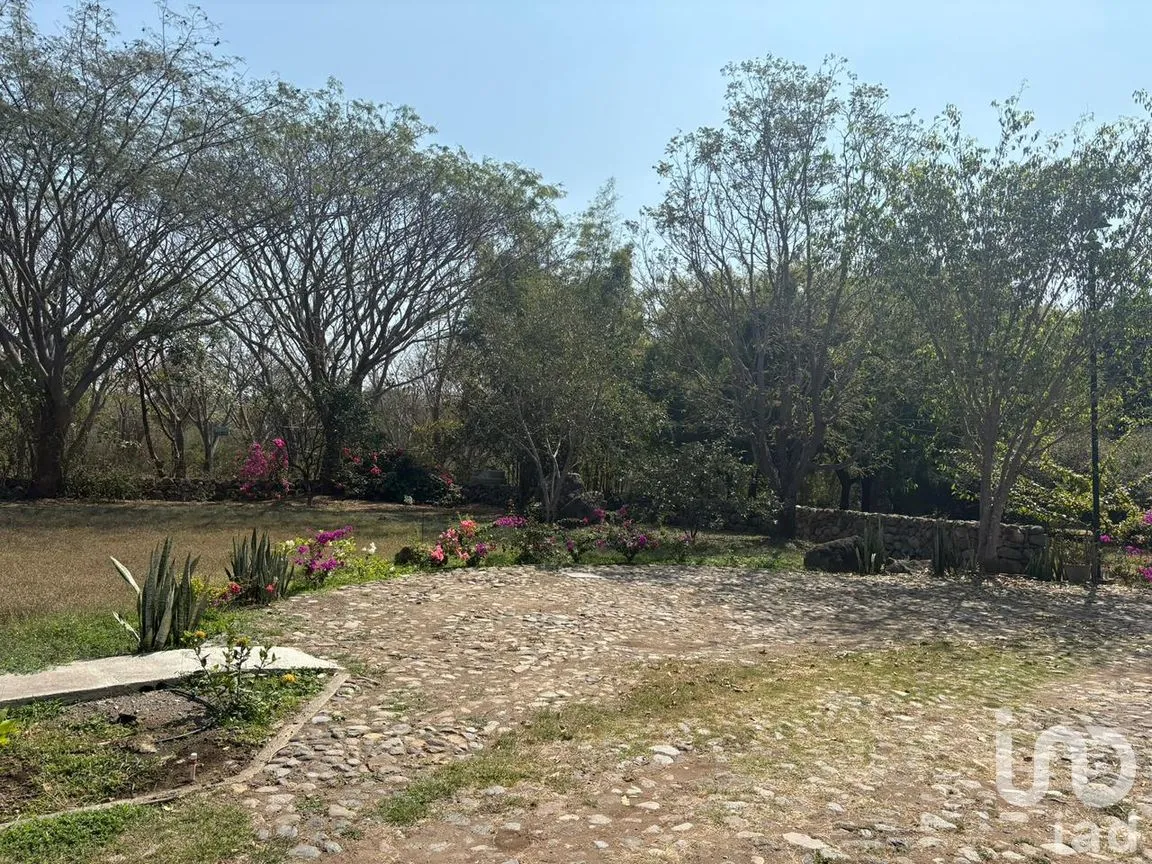 Terreno en Venta en Comala, Comala, Colima | NEX-287806 | iad México | Foto 7 de 11